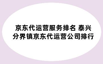 京东代运营服务排名 泰兴分界镇京东代运营公司排行